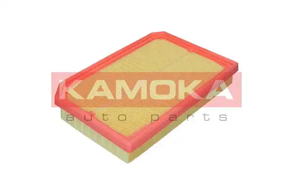 KAMOKA F257201