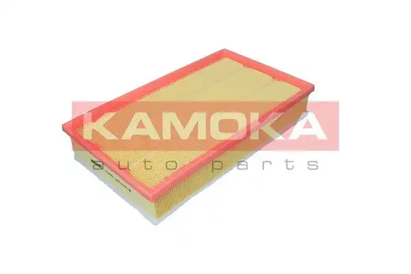 KAMOKA F257701