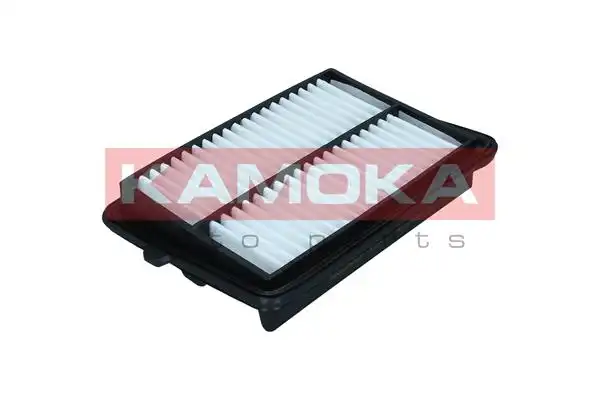 KAMOKA F258701