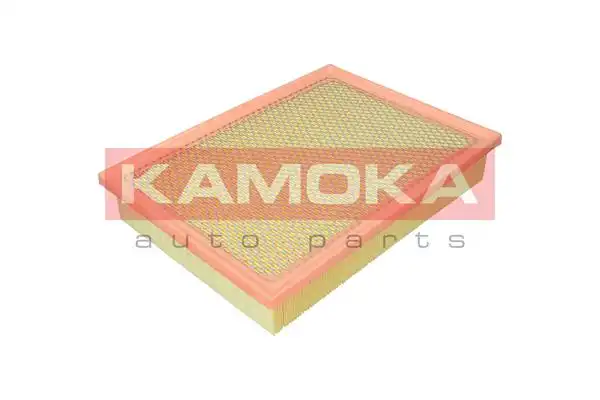 KAMOKA F258801