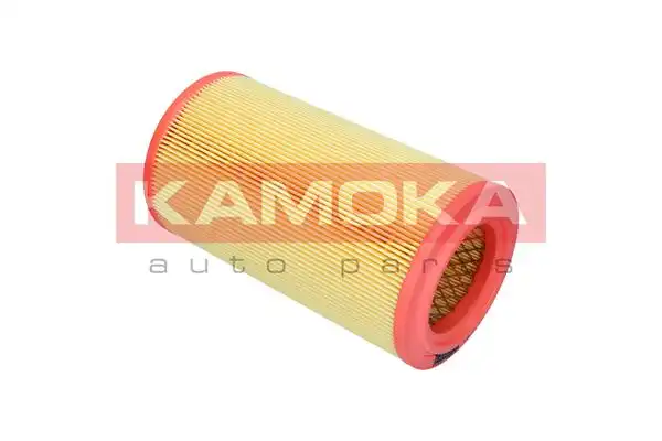KAMOKA F259501