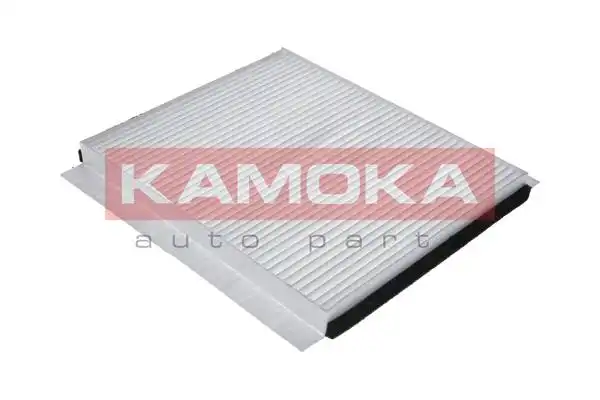 KAMOKA F408101