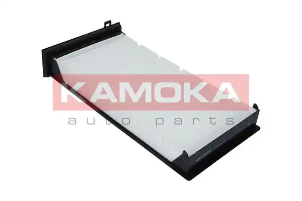KAMOKA F409101