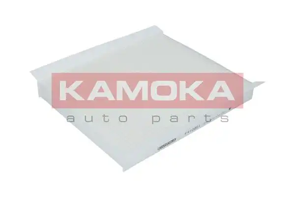 KAMOKA F410801