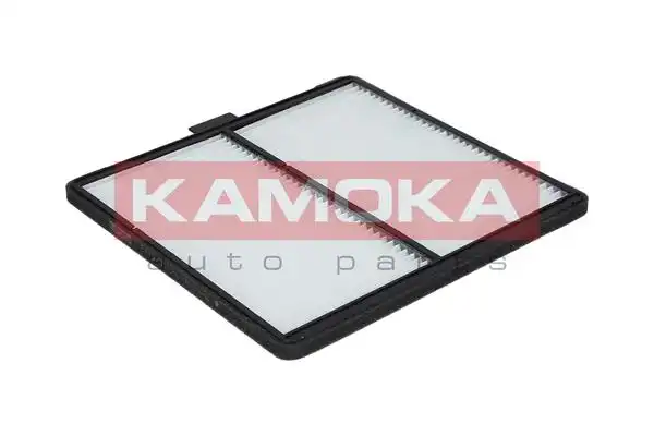 KAMOKA F413701