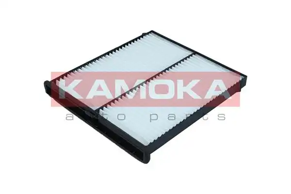 KAMOKA F418601