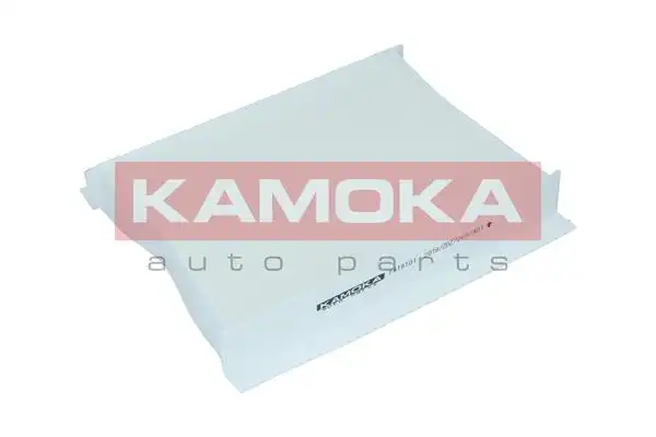 KAMOKA F419101