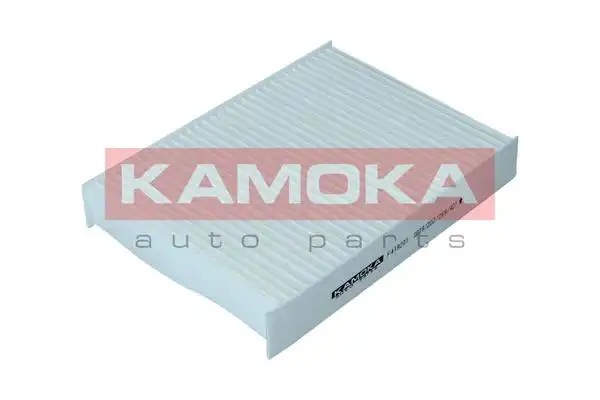 KAMOKA F419201
