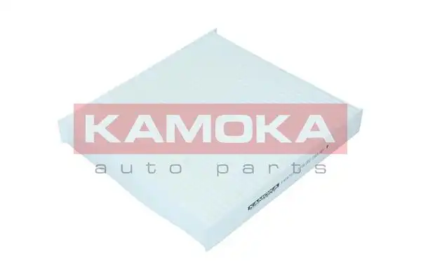 KAMOKA F419701