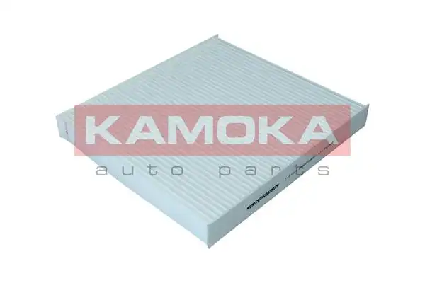KAMOKA F421901