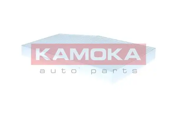 KAMOKA F423701