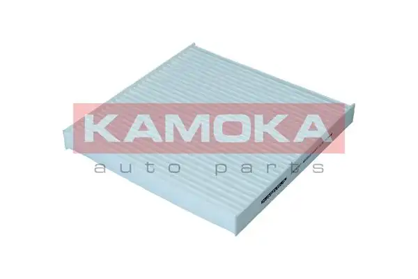 KAMOKA F424001