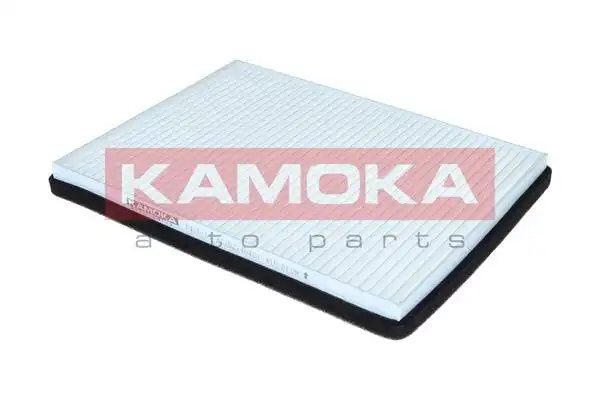 KAMOKA F425101