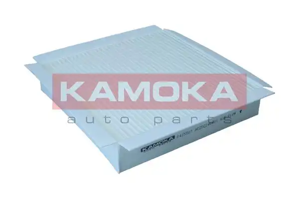 KAMOKA F425501