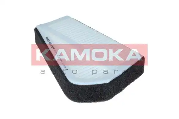 KAMOKA F425901