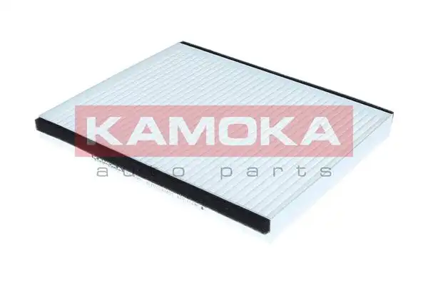 KAMOKA F426301