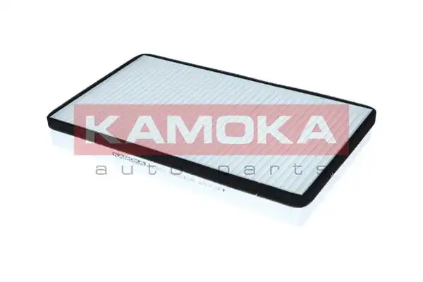 KAMOKA F426601