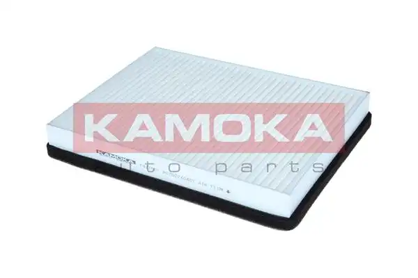 KAMOKA F427601