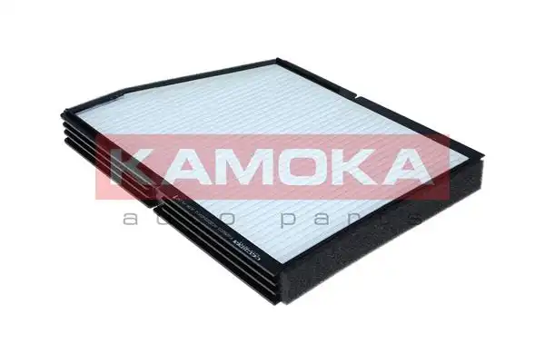 KAMOKA F428201