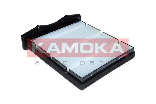 KAMOKA F428401