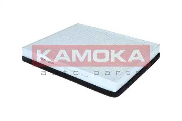 KAMOKA F428701