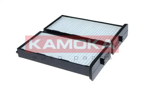 KAMOKA F430101