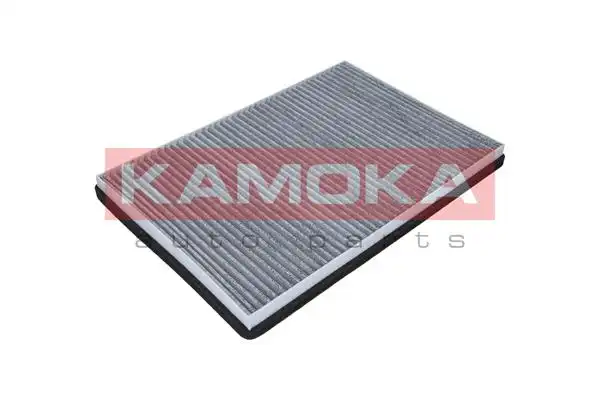 KAMOKA F501501