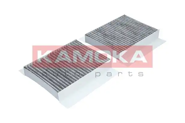 KAMOKA F502501