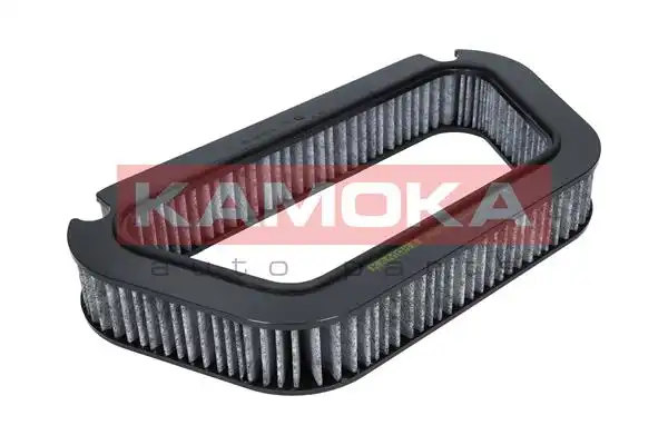 KAMOKA F503201