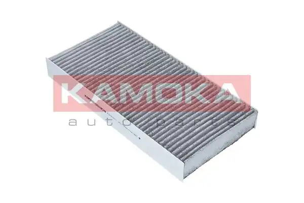 KAMOKA F505201