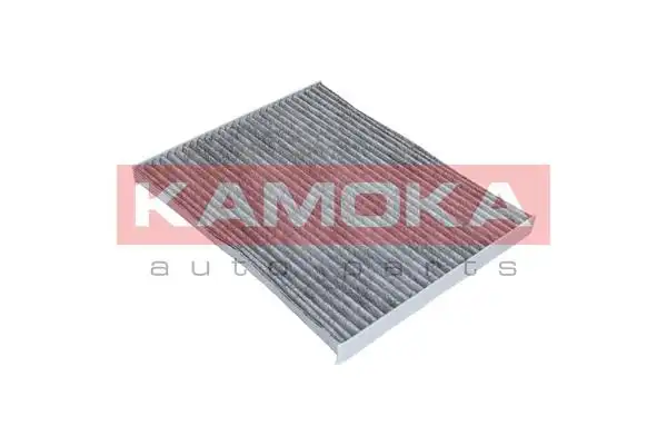 KAMOKA F506001