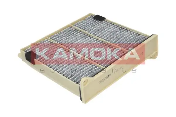 KAMOKA F507901