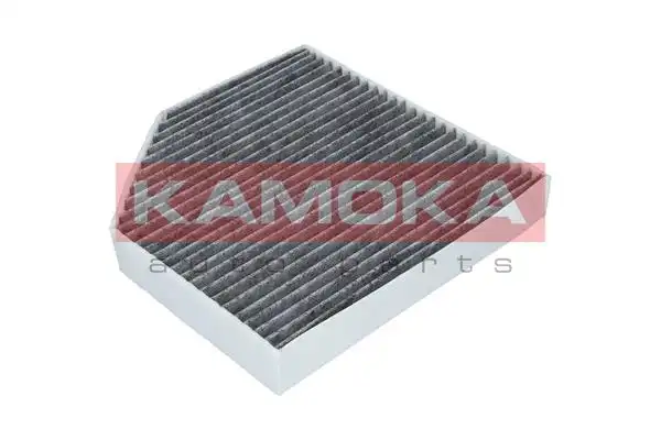 KAMOKA F509301