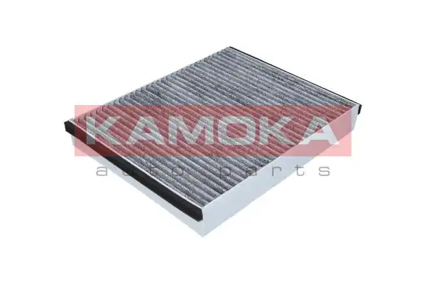 KAMOKA F509801