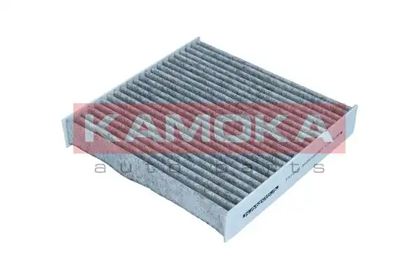 KAMOKA F510301