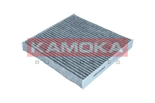 KAMOKA F511501