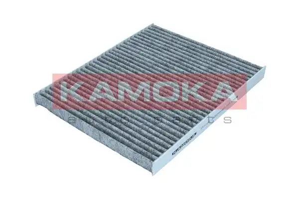 KAMOKA F512301