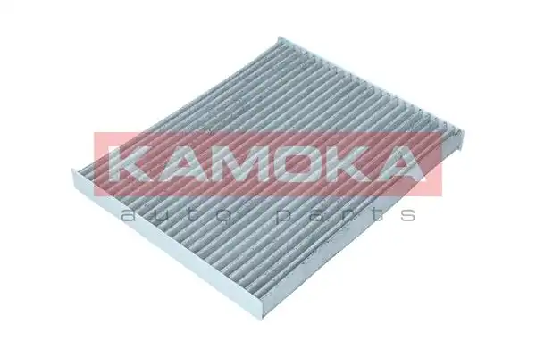 KAMOKA F512701