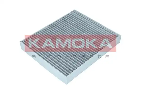 KAMOKA F513001