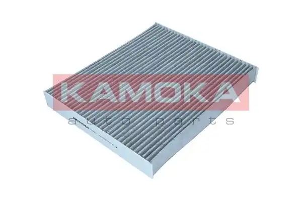 KAMOKA F513901