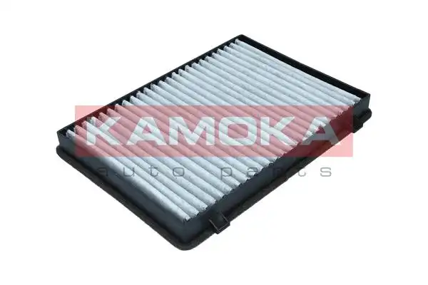 KAMOKA F515001