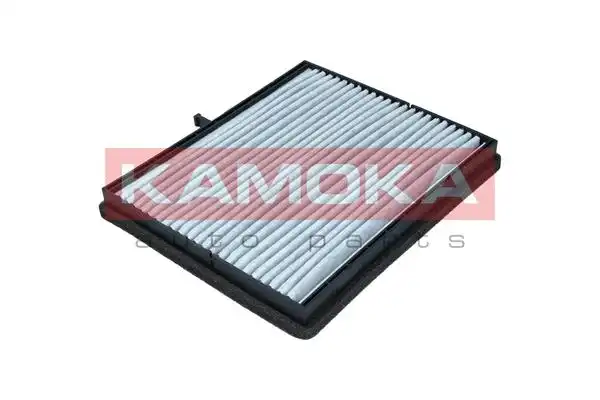 KAMOKA F515101