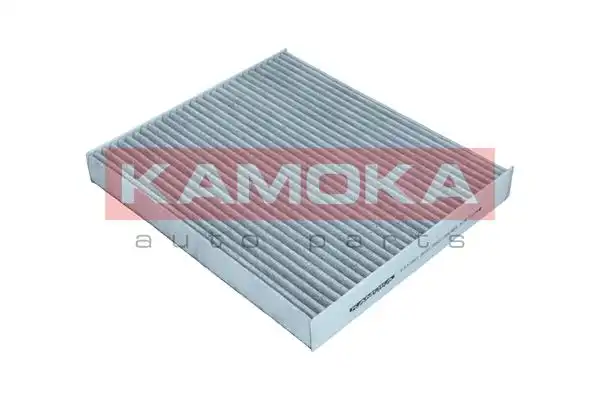 KAMOKA F517001