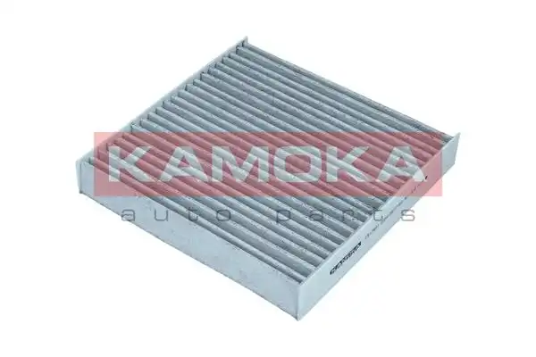KAMOKA F517601
