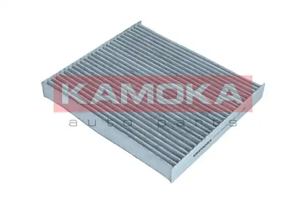 KAMOKA F517701