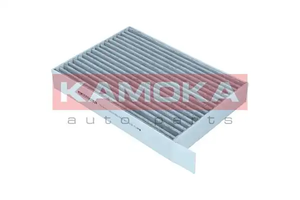 KAMOKA F519301