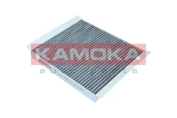 KAMOKA F519401