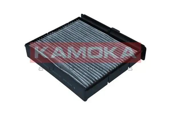 KAMOKA F520201