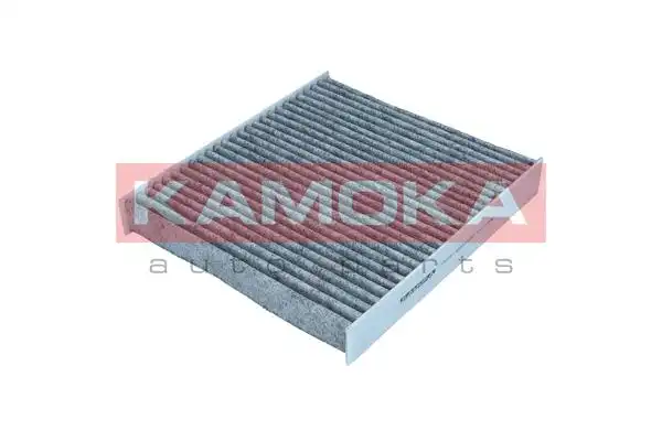 KAMOKA F521701