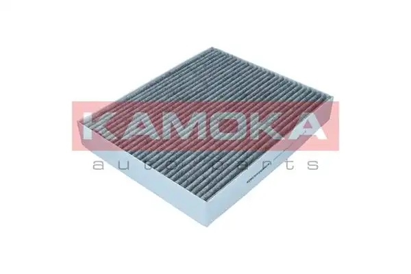 KAMOKA F522001
